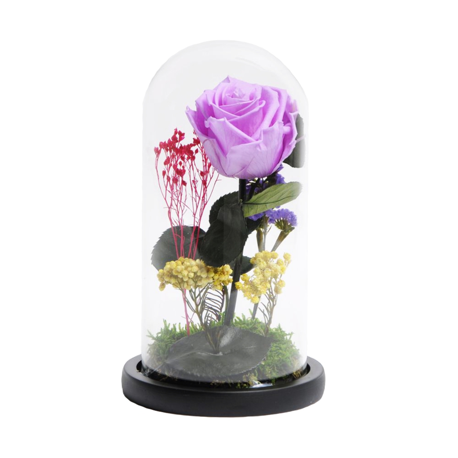 Trandafir criogenat in cupola sticla 10×25 cm, 1 fir, diferite culori Flori pentru Tine