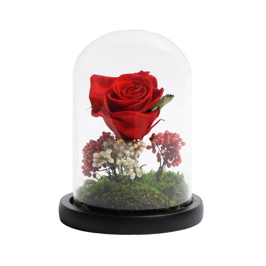 Trandafir criogenat in cupola sticla 10×15 cm, 1 fir, diferite culori Flori pentru Tine