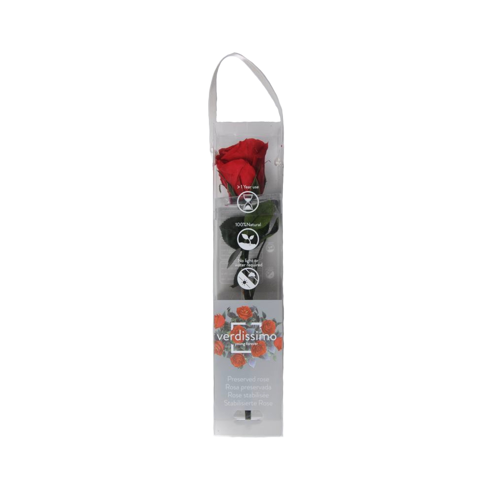 Trandafir criogenat rosu Verdissimo 4 cm, ambalat individual, intreg, 25 cm inaltime Flori pentru Tine