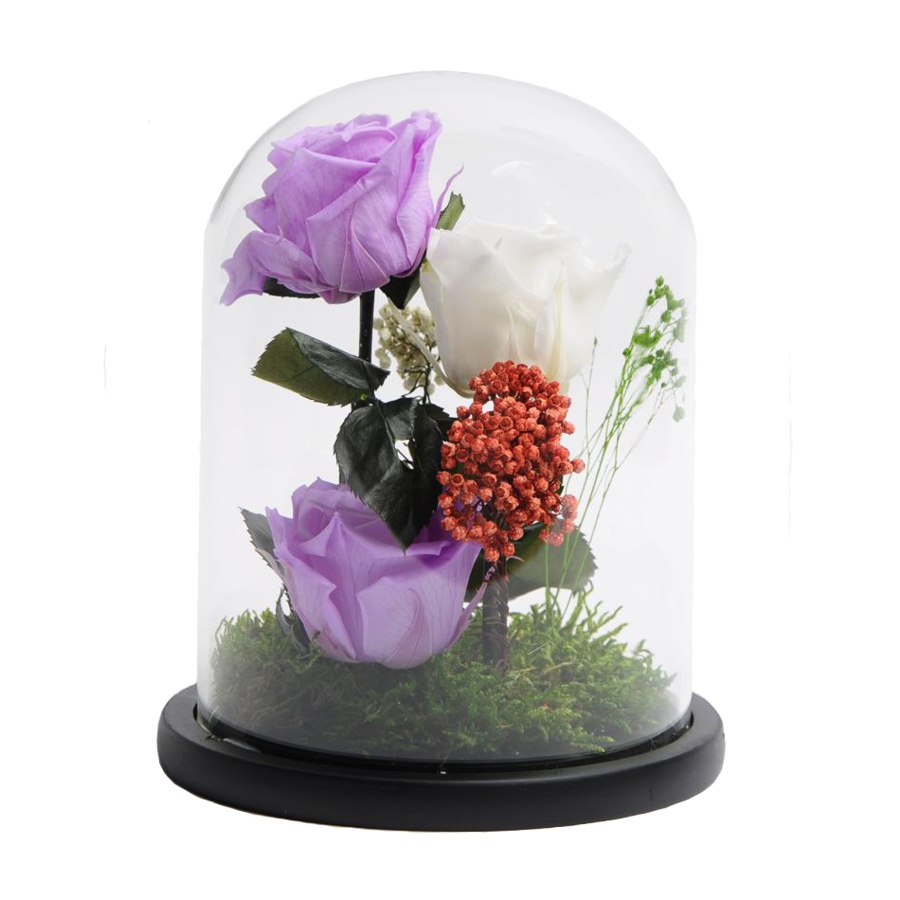 Trandafiri criogenati in cupola sticla 15×20 cm, 3 fire, diferite culori Flori pentru Tine
