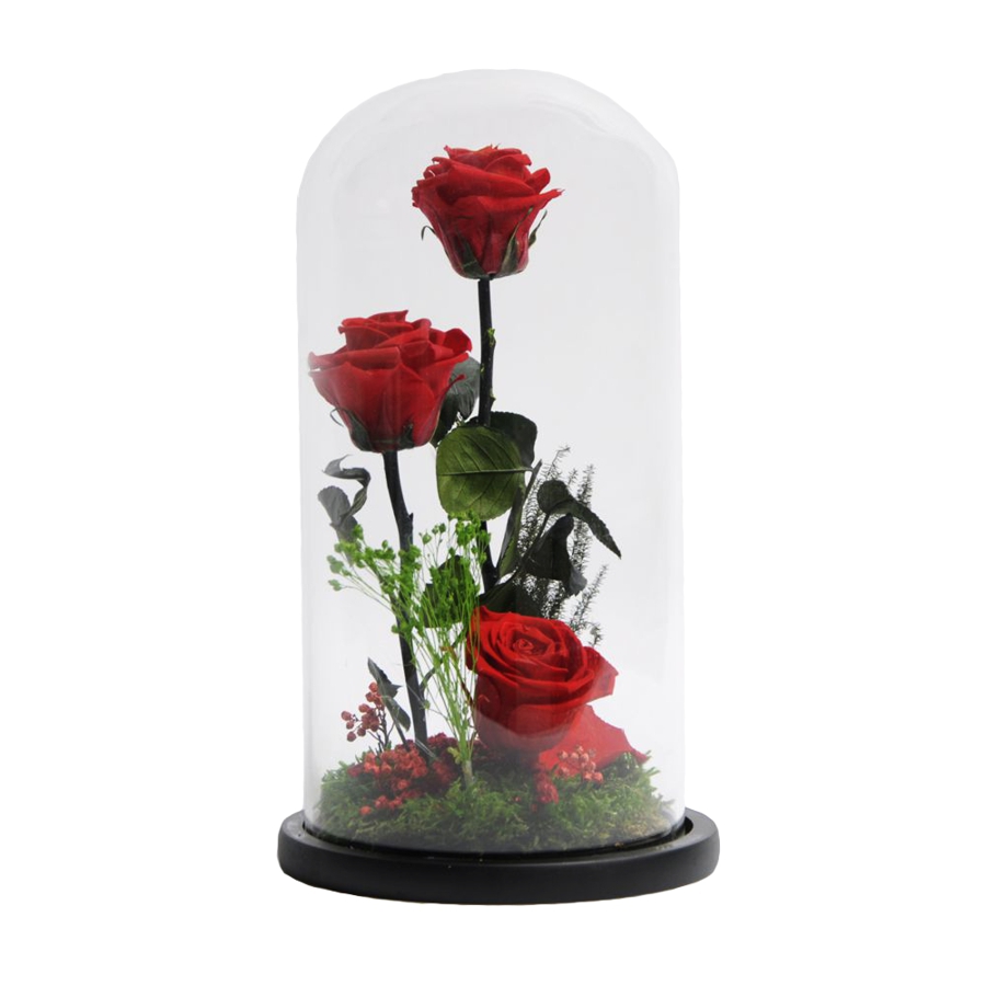 Trandafiri criogenati in cupola sticla 15×30 cm, 3 fire, diferite culori Flori pentru Tine