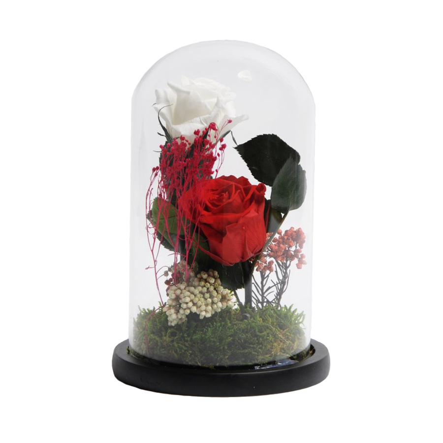 Trandafiri criogenati in cupola sticla 12×20 cm, 2 fire, diferite culori Flori pentru Tine