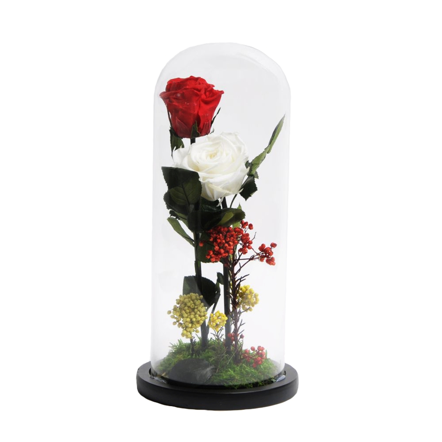 Trandafiri criogenati in cupola sticla 12×30 cm, 2 fire, diferite culori Flori pentru Tine