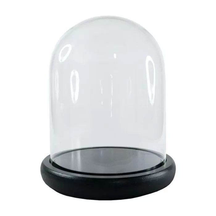 cupola sticla transparenta baza lemn negru diametru 10 cm inaltime 20 cm