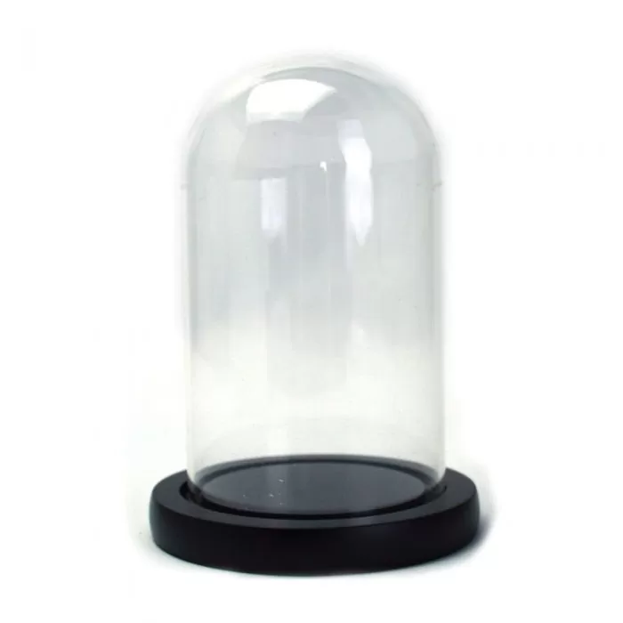 cupola sticla transparenta baza lemn negru diametru 10 cm inaltime 25 cm