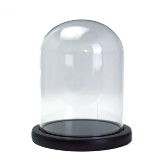 cupola sticla transparenta baza lemn negru diametru 12 cm inaltime 25 cm