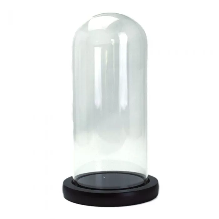 cupola sticla transparenta baza lemn negru diametru 12 cm inaltime 30 cm