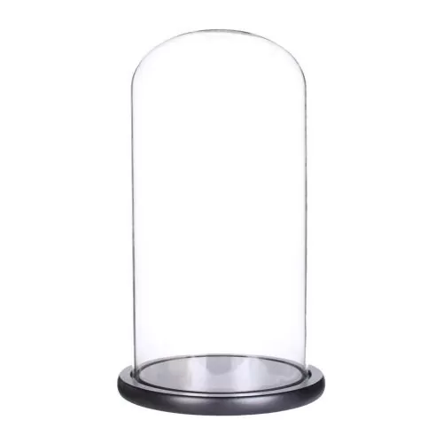 cupola sticla transparenta baza lemn negru diametru 15 cm inaltime 30 cm
