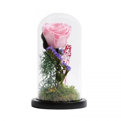 trandafir criogenat roz in cupola 10x20 cm