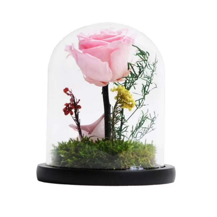 trandafir criogenat roz in cupola 12x15 cm
